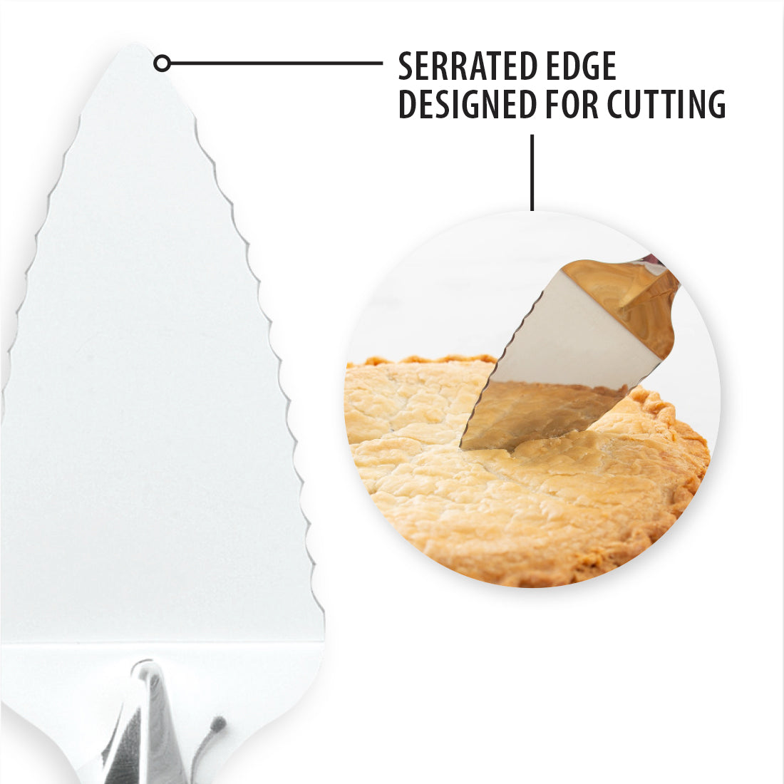 Set of 12 Seratted Edge Pointed